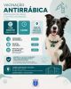 Vacina&ccedil;&atilde;o Antirr&aacute;bica