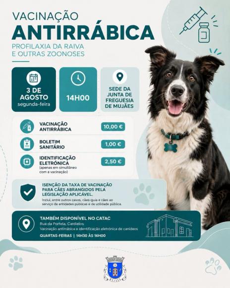 Vacina&ccedil;&atilde;o Antirr&aacute;bica